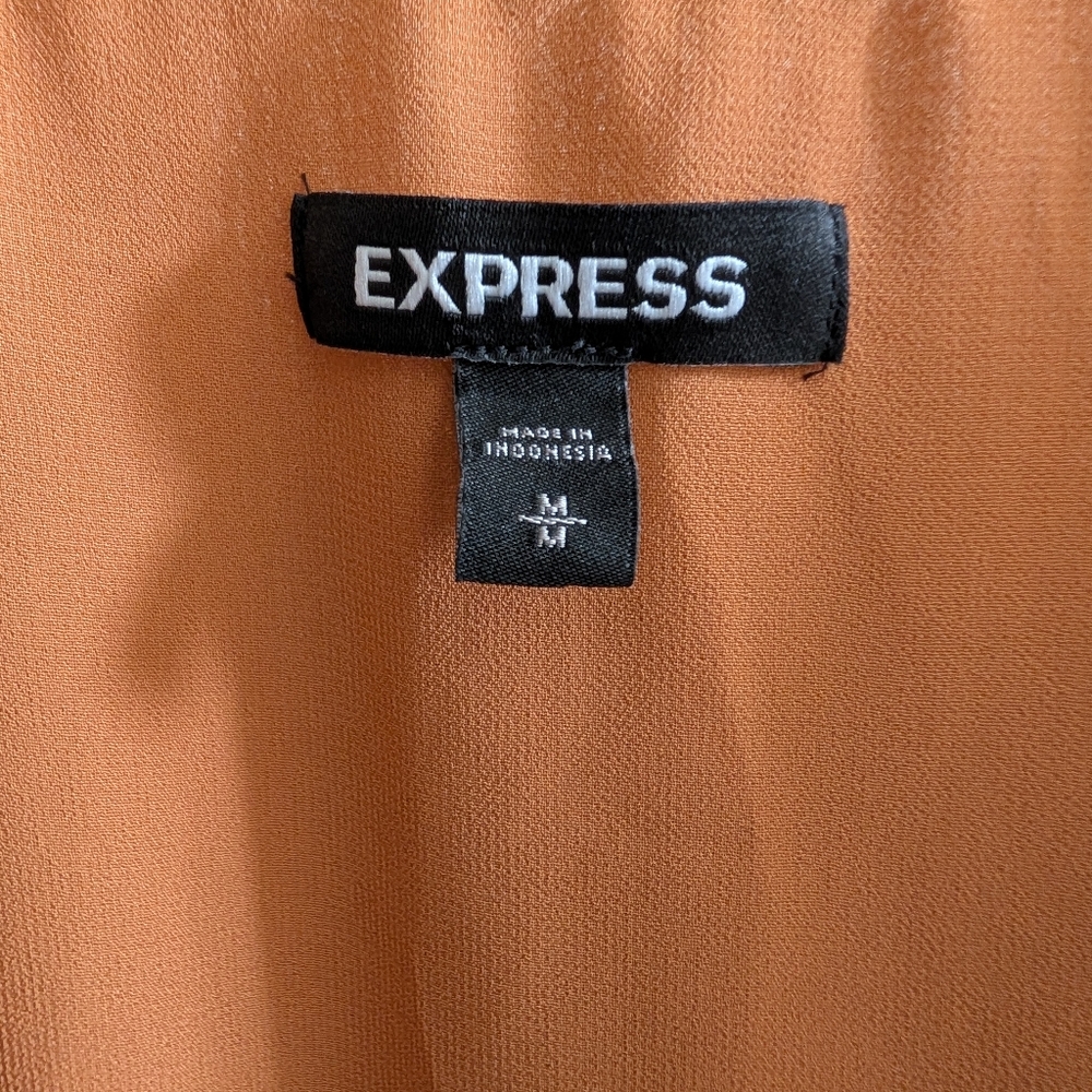 Express Low Cut Long Sleeve Blouse Size M - Picture 2 of 7